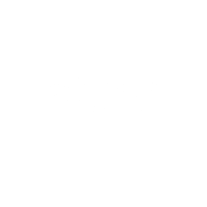 CUInsight Mini-Con Logo